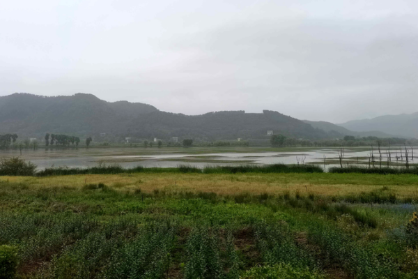 China’s New Eco Laws: Balancing Nature & People 🌱👥