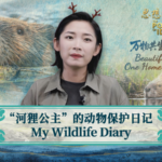 Meet Chu Wenwen: China’s Beaver Guardian Inspiring Eco-Action 🌿✨ video poster