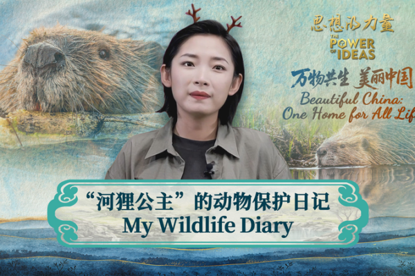 Meet Chu Wenwen: China’s Beaver Guardian Inspiring Eco-Action 🌿✨ video poster