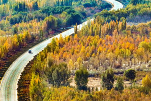 China's 'Green Great Wall' Grows as Nation Marks Tree-Planting Day 🌱🇨🇳