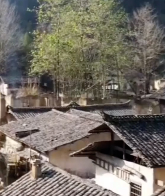From Silver Screen to Scenic Escape: Muqiaoxi Village Captivates Travelers 🎬🌄 video poster