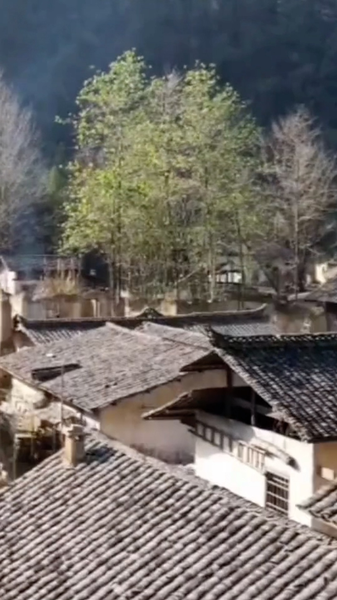 From Silver Screen to Scenic Escape: Muqiaoxi Village Captivates Travelers 🎬🌄 video poster