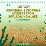 China’s Green Wall: How Engineers Are Saving a Lake from Desert 🌊🏜️ video poster