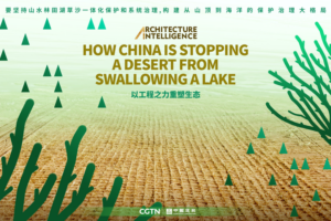 China’s Green Wall: How Engineers Are Saving a Lake from Desert 🌊🏜️ video poster