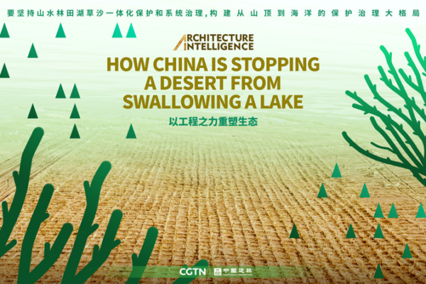 China’s Green Wall: How Engineers Are Saving a Lake from Desert 🌊🏜️ video poster