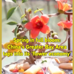 Spring Blooms Fuel China’s Greater Bay Area ‘Flower Economy’ 🌸💼 video poster