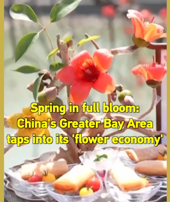 Spring Blooms Fuel China’s Greater Bay Area ‘Flower Economy’ 🌸💼 video poster