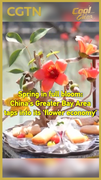 Spring Blooms Fuel China’s Greater Bay Area ‘Flower Economy’ 🌸💼 video poster