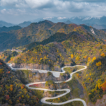 China's Qinling Mountains See Major Ecological Revival 🌱🏔️