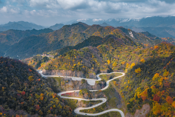 China's Qinling Mountains See Major Ecological Revival 🌱🏔️