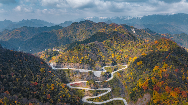 A7KFLN6VUKF4JMV47YE4 - 🌍NewspaperAmigo – Your Global News Buddy 🗞️ China's Qinling Mountains See Major Ecological Revival 🌱🏔️