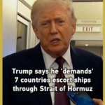 Trump Demands 7 Nations Escort Ships in Hormuz Strait 🌍⛴️ video poster