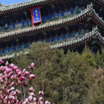 AMOQD26DP754QLI292L8 - 🌍NewspaperAmigo – Your Global News Buddy 🗞️ Beijing Blooms Early: Spring 2026 Paints City in Vibrant Colors 🌸🏙️