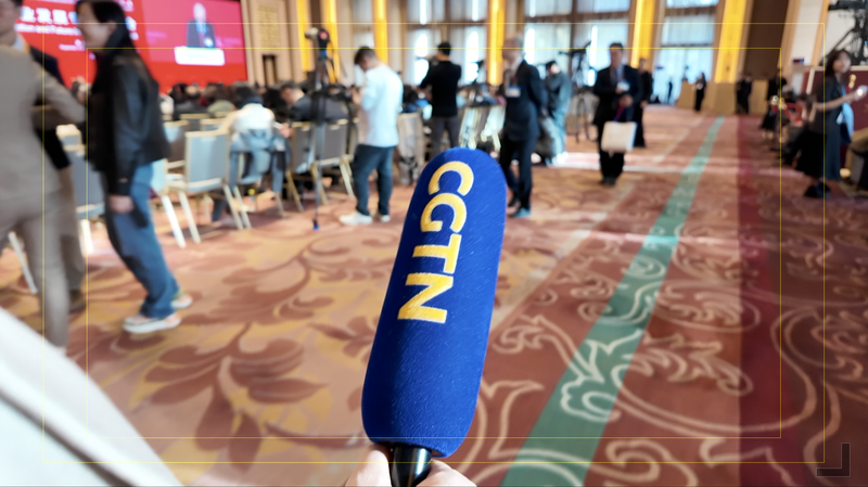 Multinationals on China in 2026: Opportunity, Certainty, Potential 🌏💼 video poster