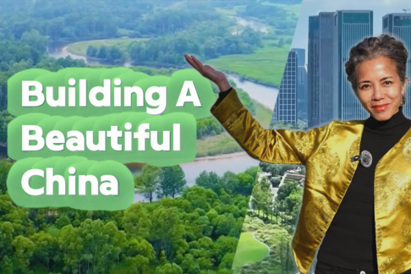 China’s Eco-Revolution: Blue Skies, Green Growth, and a Sustainable Future 🌱 video poster