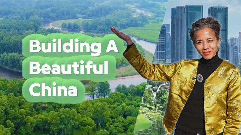 China’s Eco-Revolution: Blue Skies, Green Growth, and a Sustainable Future 🌱 video poster