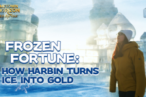 Harbin’s Ice Economy: Turning Frost into Fortune 🌨️💰 video poster