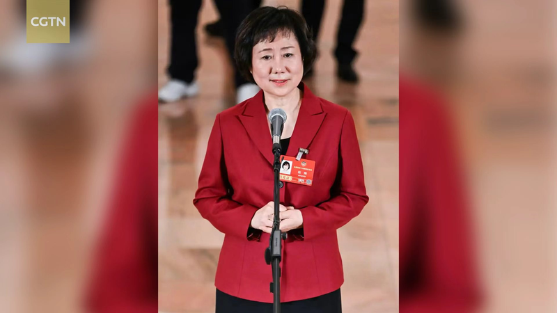 Chinese Characters Go Global 🌏 CPPCC Member Advocates Cultural Exchange video poster