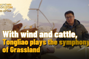 Tongliao’s Green Revolution: Where Cattle Meet Wind Turbines 🌱💨 video poster