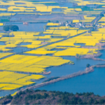 China's Green Code Revolution: 2026's Eco-Legal Milestone 🌱📜