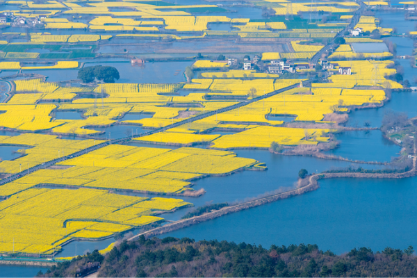 China's Green Code Revolution: 2026's Eco-Legal Milestone 🌱📜