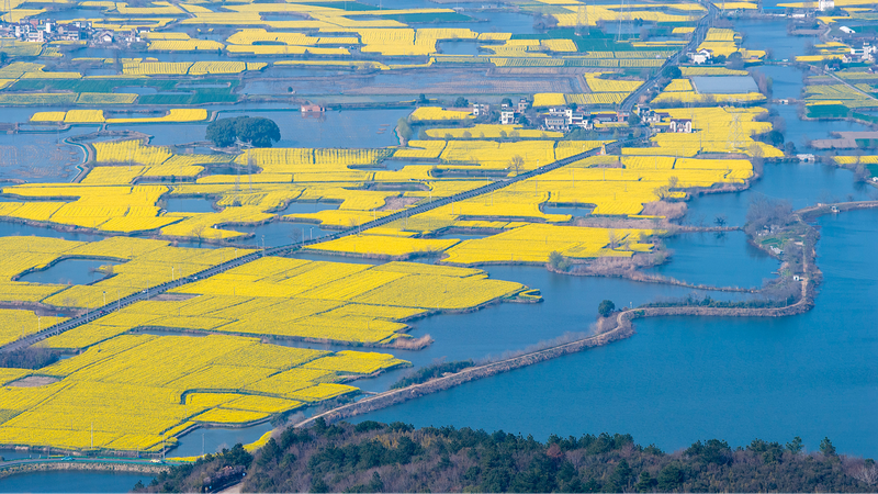 China's Green Code Revolution: 2026's Eco-Legal Milestone 🌱📜