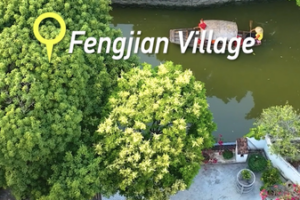 Spring in Shunde: Your 2026 Guide to Lingnan’s Hidden Gems 🌸🚣♂️ video poster