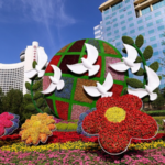 China_s_Head_of_State_Diplomacy_Drives_Global_Unity_in_2026 video poster