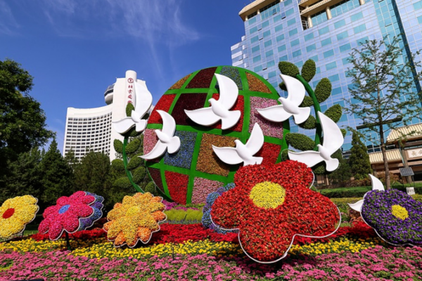 China_s_Head_of_State_Diplomacy_Drives_Global_Unity_in_2026 video poster