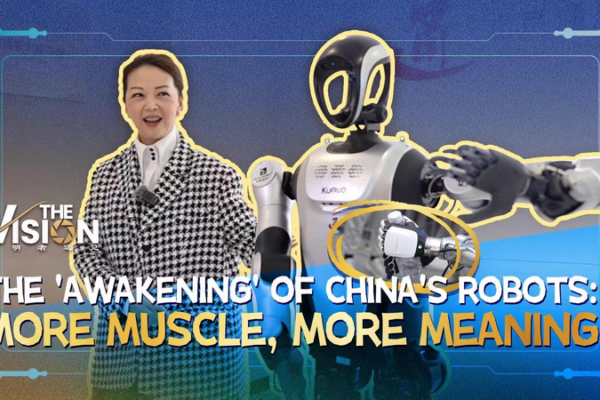 China_s_Robot_Revolution__Smarter_Machines__Bigger_Impact_in_2026 video poster