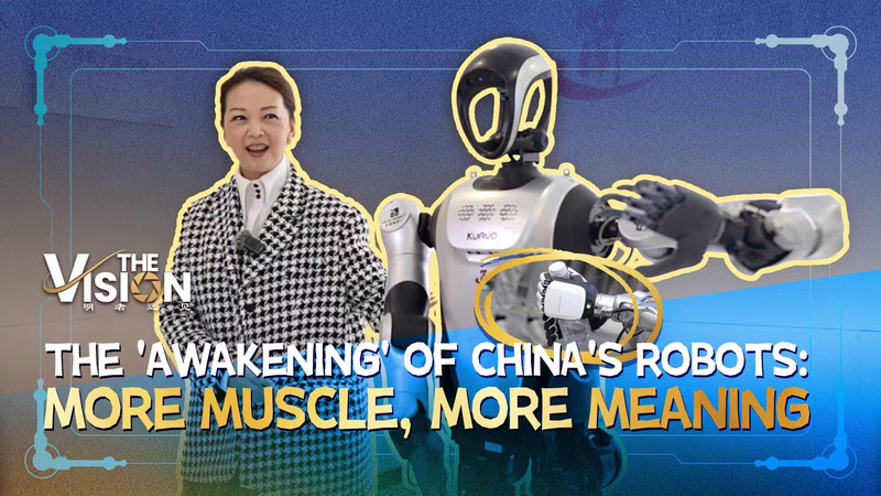 China_s_Robot_Revolution__Smarter_Machines__Bigger_Impact_in_2026 video poster