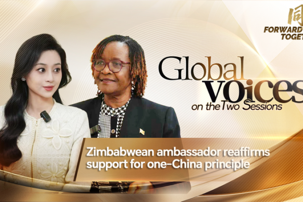 Zimbabwe Backs One-China Policy Amid Global Shifts 🌏 video poster