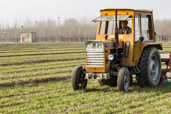 China Launches 30-Year Rural Land Contract Renewal Pilot 🌱