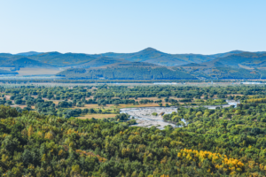 Inner Mongolia’s Green Revolution: 14th FYP Wins & What’s Next 🌱💡