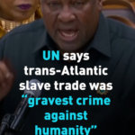 E2YQ0JL1B80BVXH6V4FG - 🌍NewspaperAmigo – Your Global News Buddy 🗞️ UN Labels Trans-Atlantic Slave Trade as 'Gravest Crime Against Humanity' 🌍✊ video poster