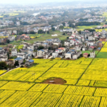 China Pushes Rural Revitalization to Secure Poverty Alleviation Gains in 2026 🌾