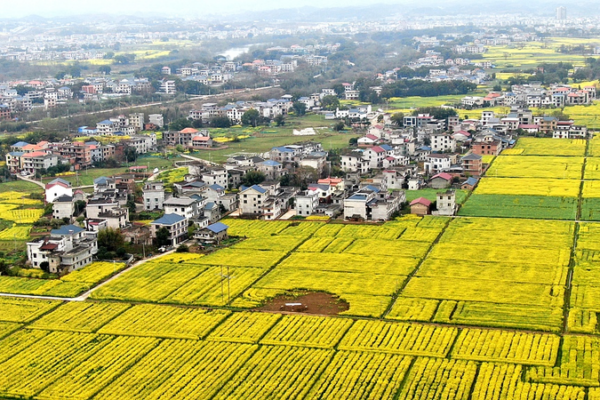 China Pushes Rural Revitalization to Secure Poverty Alleviation Gains in 2026 🌾