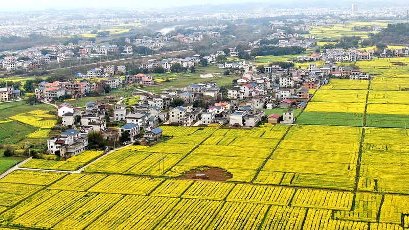 China Pushes Rural Revitalization to Secure Poverty Alleviation Gains in 2026 🌾