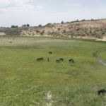 Yellow River Revival: Inner Mongolia's Eco Success Story 🌱💧 video poster