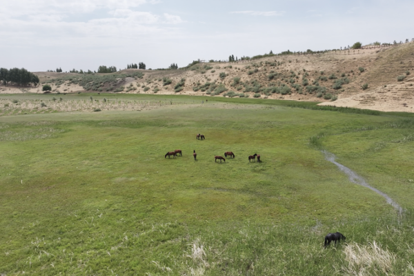 Yellow River Revival: Inner Mongolia's Eco Success Story 🌱💧 video poster