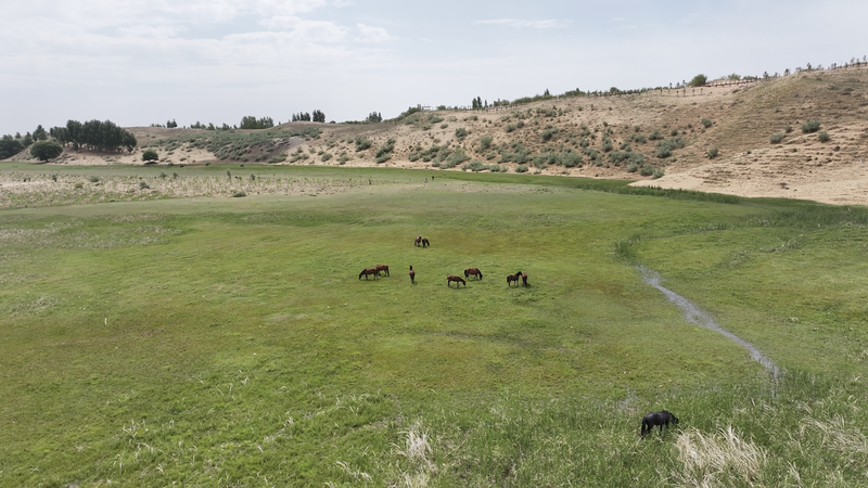 Yellow River Revival: Inner Mongolia's Eco Success Story 🌱💧 video poster