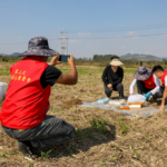EPKCDNHRXMRLEDVGGZVG - 🌍NewspaperAmigo – Your Global News Buddy 🗞️ China Overhauls Agricultural Census with Tech Upgrades, Stricter Data Rules 🌾📊