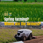 China's Spring Farming Goes Full Tech Mode 🌾🤖 video poster