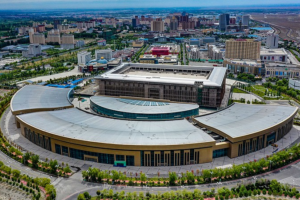 Xinjiang's Growth Wins Global Praise 🌏✨