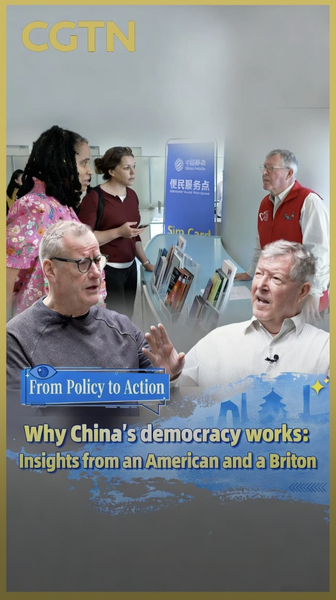 Foreign_Voices_Decode_China_s_Democracy___See_for_Yourself_ video poster