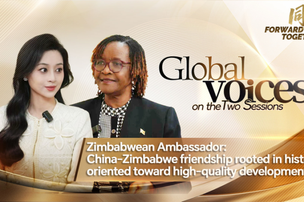 Zimbabwe & China: Partners in Growth 🌱💼 video poster