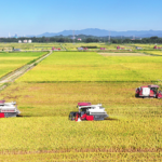 China Unveils 109 Major Projects for Food & Energy Security in 2026-2030 Plan 🚀🌾