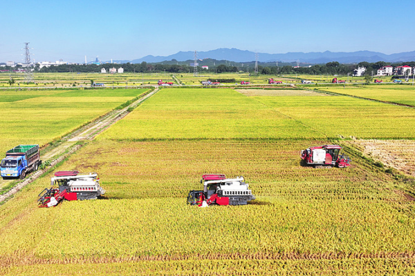 China Unveils 109 Major Projects for Food & Energy Security in 2026-2030 Plan 🚀🌾