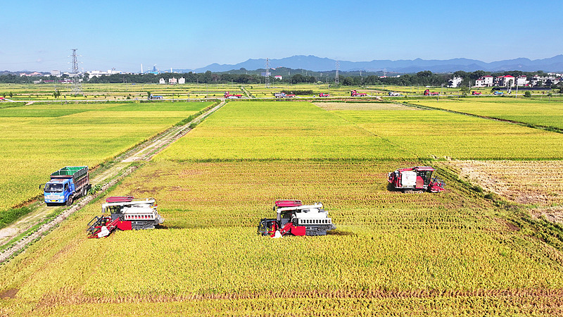 China Unveils 109 Major Projects for Food & Energy Security in 2026-2030 Plan 🚀🌾
