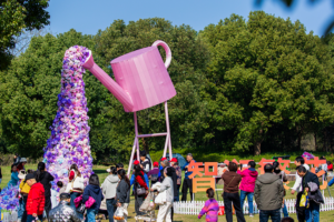 China's 'People-First' Governance Model Gains Global Attention in 2026 🌏✨